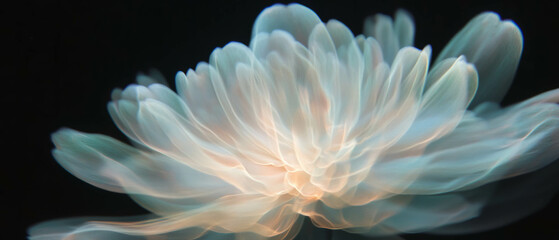 Aufkleber - Dynamic light trails creating an ethereal petal effect on a dark background