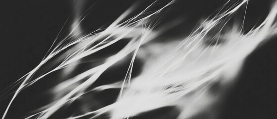 Poster - Elegant overlay texture with blurred lines and soft focus against a black background