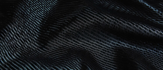 Poster - Overlay texture featuring delicate dotted lines on a black background for design purposes