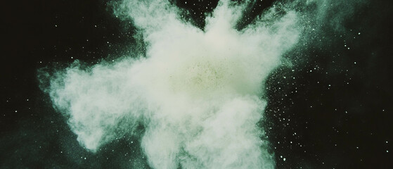 Poster - Macro view of dust particles revealing intricate details against a black background