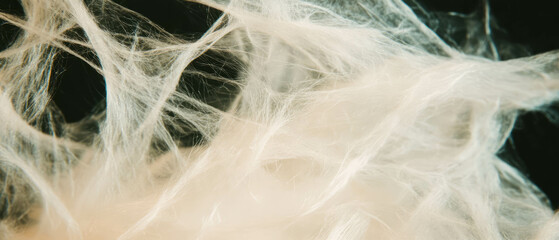 Poster - Organic paper texture with clear area against a black background showcasing natural fibers