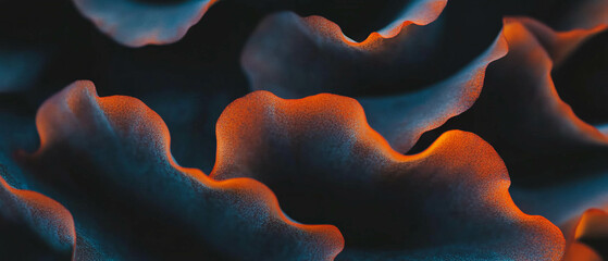 Aufkleber - Rough textured petals with a tactile impression on a black background for logo placement