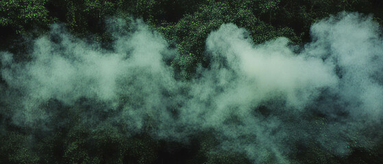 Poster - Mystical smoke overlay creates an enchanting atmosphere in a forest setting