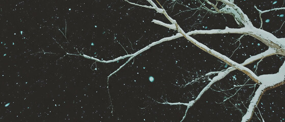 Poster - Snow-covered branches create a stark winter landscape against a dark backdrop