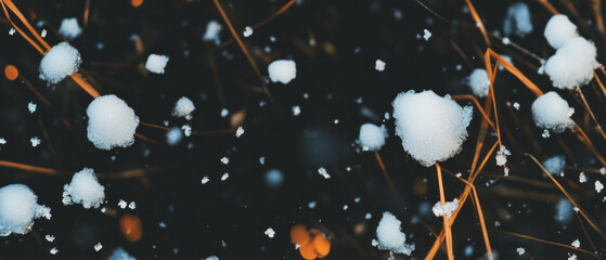 Poster - Snowflakes gently fall on frosty grass and dry winter vegetation against a dark background