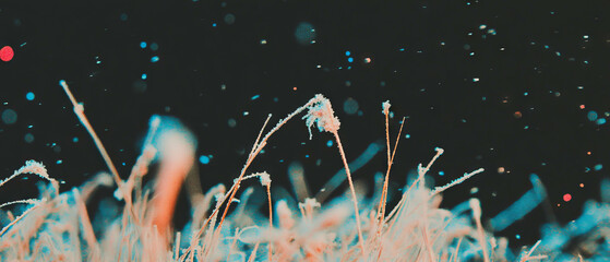 Aufkleber - Frozen grass and delicate snowflakes covering dry winter vegetation against a dark backdrop