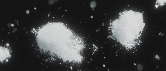 Aufkleber - Macro view of intricate snow crystals against a stark black background highlighting unique textures