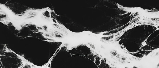 Poster - Meeting the elegance of spider web texture over a black background with a classic design