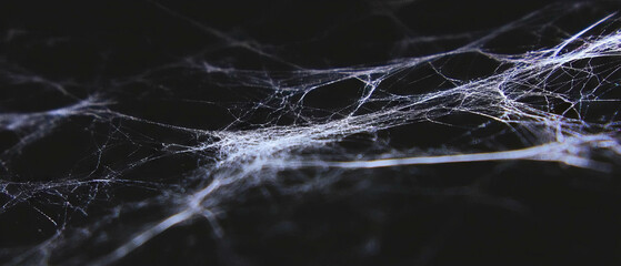 Poster - Dynamic spider web overlay with airy threads against a dark background creating visual depth