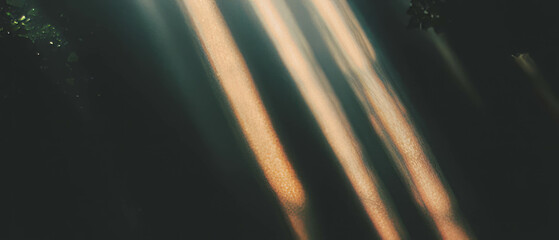 Poster - Sunlight beams cast a warm glow through a window creating a serene atmosphere