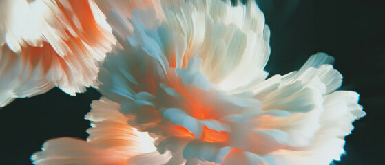 Poster - Swirling spiral petal arrangements creating a dynamic vortex effect on a dark background