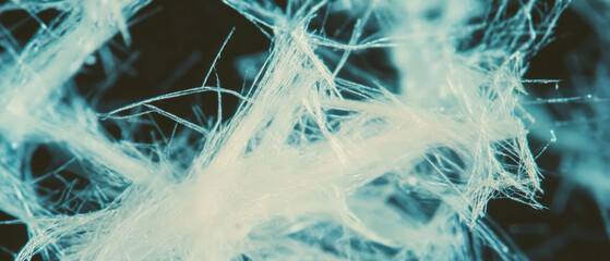 Poster - Overlay texture of tiny paper fibers with a clear central area on a black background