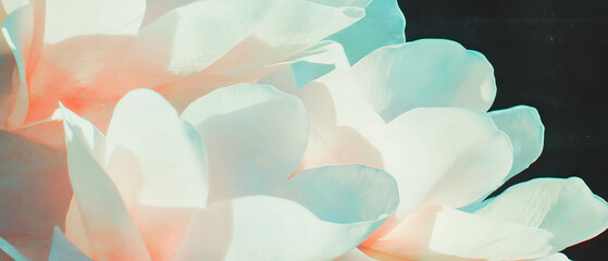 Poster - Vintage botanical print overlay featuring delicate petal patterns on a dark background