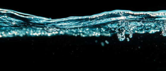 Poster - Vibrant display of water bubbles against a black background showcasing clarity and detail