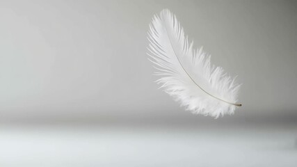 Poster - Single white feather floating on a minimalist gray background, creating a serene and delicate atmosphere, ideal for concepts related to lightness, purity, and fragility