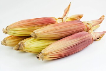 Poster - Fresh, colorful corn varieties displayed with husks in a neat arrangement on a light background