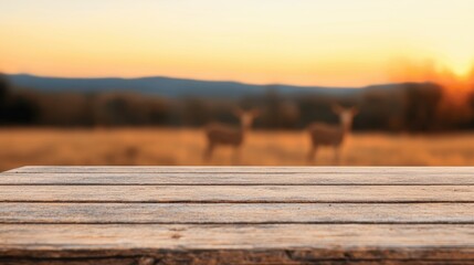 Poster - Empty wooden table overlooking meadow with blurred deer at sunset