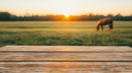 Poster - Empty wooden table overlooking horse grazing in pasture at sunset