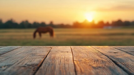 Poster - Empty wooden table with horse grazing in pasture at sunrise