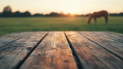 Poster - Empty wooden table in pasture with horse grazing at sunset