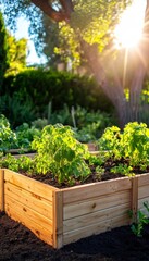 Wall Mural - Wooden Raised Garden Bed With Lush Green Plants In Backyard Vegetable Garden At Sunset