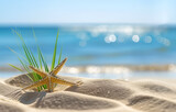 Rozgwiazda na piaszczystej plaży z widokiem na błękitne morze.