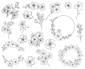 Collection of spring cherry blossom flowers, branches and frames,  hand drawn botanical line drawing, vector floral line art illustration for wedding, logo, advertising, packaging