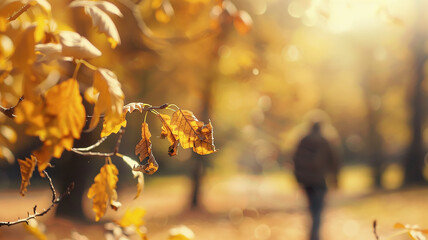 Wall Mural - The background is an autumn park, a blurred backdrop of yellow trees