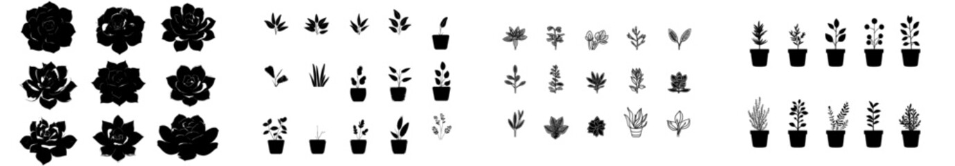 Wall Mural - modern line color handdrawn illustration set featuring stylized decorative succulents, isolated on a