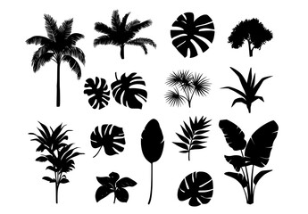 Wall Mural - black and white isolated illustrations featuring palm and tropical trees