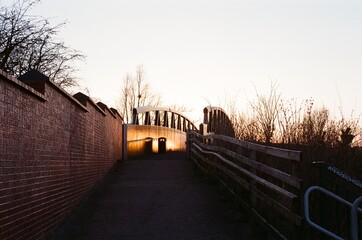 sunset in the park