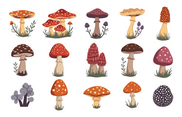 Wall Mural - Mushroom flat Illustration Icons set, mushroom Vector Art Illustration Clipart. set of mushroom Illustration bundle