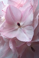 Poster - Delicate pink petals close up showing intricate texture and soft light in a floral arrangement