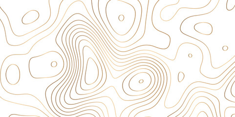 Poster - Abstract white golden gradient Topographic line map background. Contour elevation topographic and textured Background Modern design with White background with topographic wavy pate for decoration.	