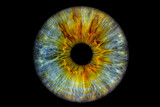 Close up of eye iris on black background, macro, photography	