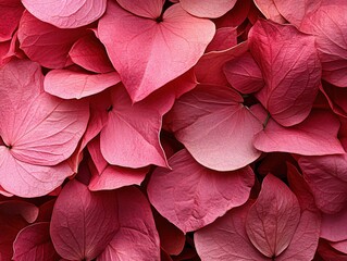 Poster - Close up of many pink leaves with visible veins creating a textured background pattern
