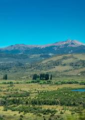 Wall Mural - Steppe and andes mountains landscape, nahuel haupi park, argentina