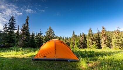 tent in the forest