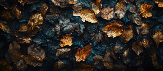 Poster - fallen dry autumn leaves in warm brown hues illuminated by sunlight on a dark forest floor creating 