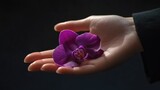 Elegant woman hand presenting a vibrant purple orchid flower petal against a dark background, highlighting beauty and nature's grace.