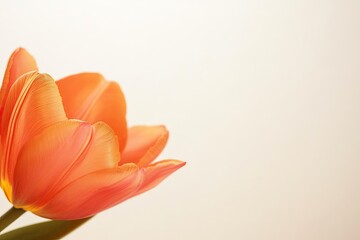 blurry close-up of symbolic award with intricate golden detailing resting beside vibrant tulip under
