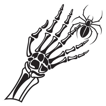 Halloween Skeleton Hand with Spider Silhouette Vector Illustration on a white background