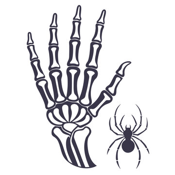 Halloween Skeleton Hand with Spider Silhouette Vector Illustration on a white background