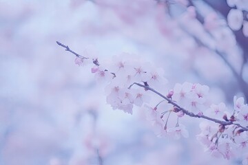 Poster - Soft colors and hues evoke a sense of calm.