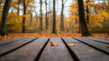 Poster - Empty wooden table in an autumnal forest with warm sunlight