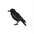 © MDSUMON - Minimalist Black Raven Silhouette Vector Icon for Cricut Projects