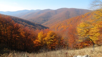 Poster - Autumn Mountain Landscape Vibrant Fall Foliage Scenery