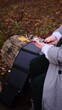 © Babenko - A woman in a gray coat charges her phone using a portable solar panel in a serene forest setting. The scene highlights sustainable technology, off-grid living, and eco-friendly solutions in nature.