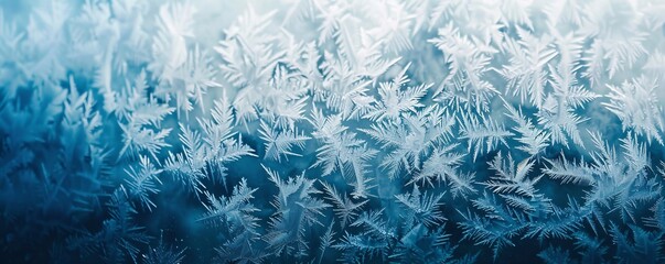 Poster - intricate frost pattern creating a beautiful design on a window during winter