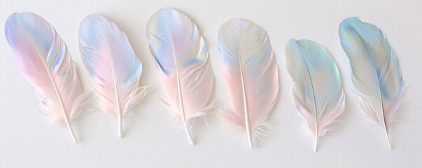 Aufkleber - Six shimmering pastel feathers resting on a pristine white surface